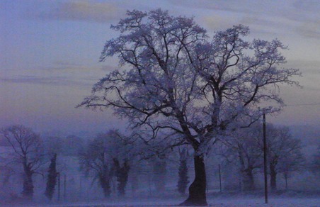 december-09-0141